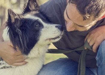Pistas que derretem o coração de que seu cachorro é completamente devotado a você, dizem especialistas
