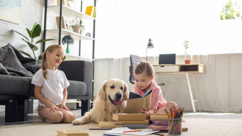 Projetos DIY para tornar sua casa mais adequada para animais de estimação