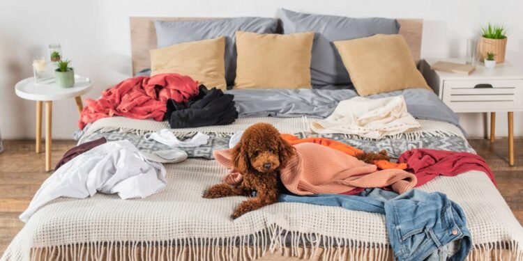 O estilo e o ritmo de vida de cada pessoa desempenham um papel fundamental nessa escolha diária - Créditos: depositphotos.com / IgorVetushko