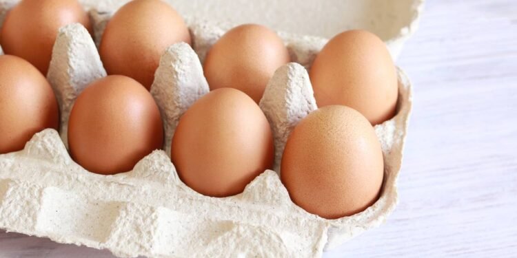 O truque infalível para escolher uma cartela perfeita de ovos todas as vezes