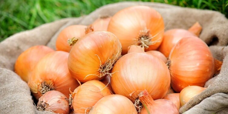 Esfregar meia cebola na janela: por que recomendam e para que serve