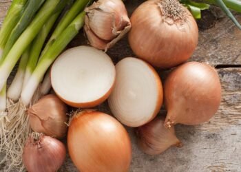 Poucos sabem: qual o sentido de passar meia cebola sobre a grelha quente