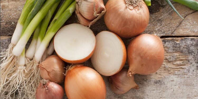 Poucos sabem: qual o sentido de passar meia cebola sobre a grelha quente