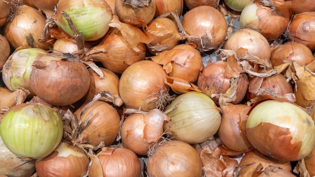 Poucos sabem: qual o sentido de passar meia cebola sobre a grelha quente