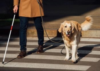 Entenda a principal causa de cegueira irreversível em pessoas acima de 50 anos