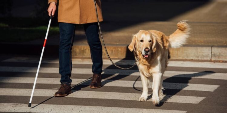 cegueira - Créditos: depositphotos.com / IgorVetushko