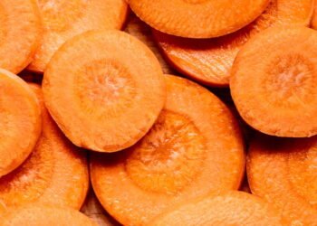 Esse é o jeito certo de armazenar cenouras para que elas fiquem frescas