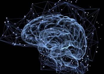 Qual é a regra 2-7-30 que fortalece a memória e nos ajuda a não esquecer?