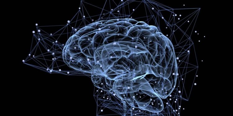 Qual é a regra 2-7-30 que fortalece a memória e nos ajuda a não esquecer?