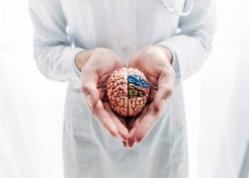 Saúde do cérebro: Passos simples que você deve seguir para melhorar a função cerebral