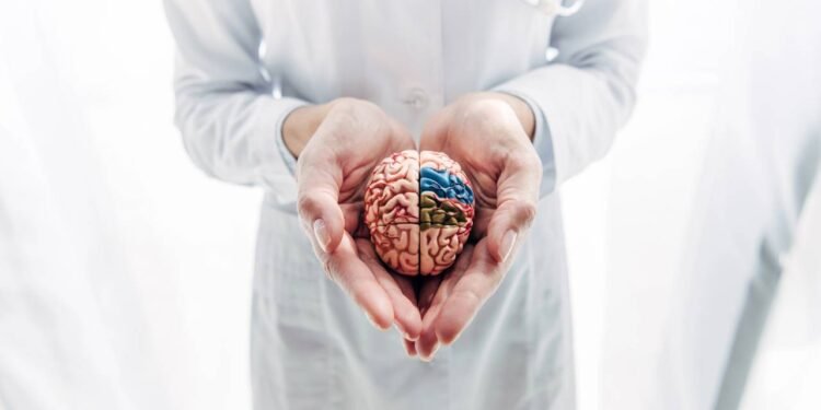 Saúde do cérebro: Passos simples que você deve seguir para melhorar a função cerebral