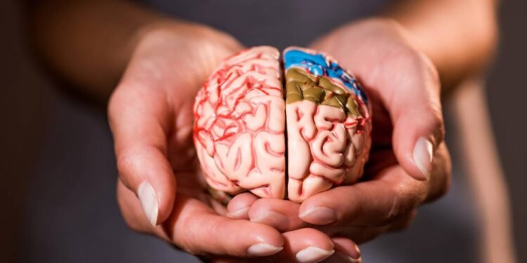 5 comportamentos que os neurologistas evitam para a saúde cerebral a longo prazo