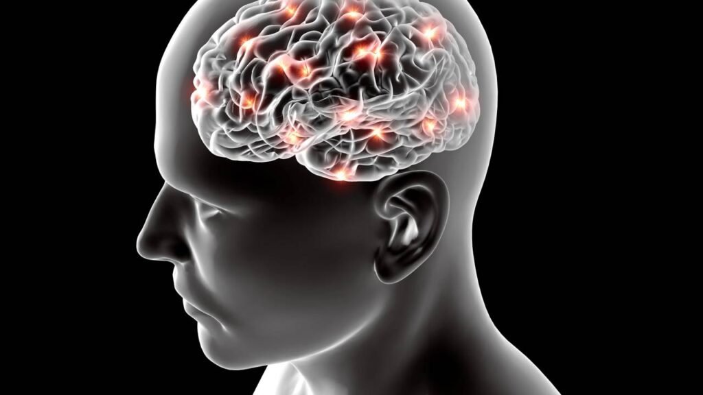 5 comportamentos que os neurologistas evitam para a saúde cerebral a longo prazo