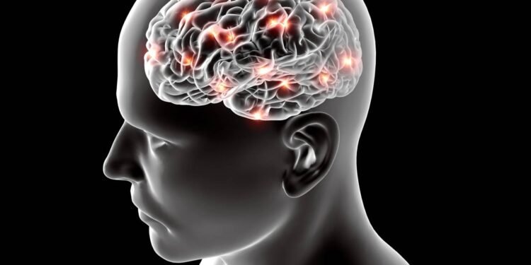 Essa é a idade que seu cérebro está mais inteligente