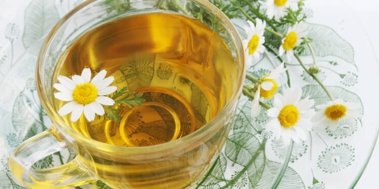 O segredo do chá que ajuda a aliviar tensão e ansiedade no trabalho