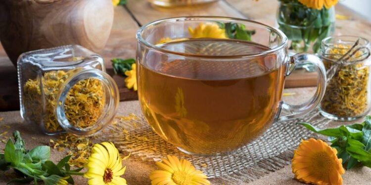 Os compostos bioativos presentes na calêndula estimulam a formação de colágeno - Créditos: depositphotos.com / MadeleineSteinbach