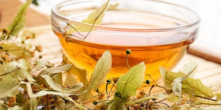 A popularidade dessas ervas vem do uso antigo e de referências culturais - Créditos: depositphotos.com / Angel_a