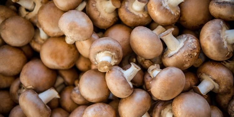 Superalimentos que os nutricionistas querem que você coma mais