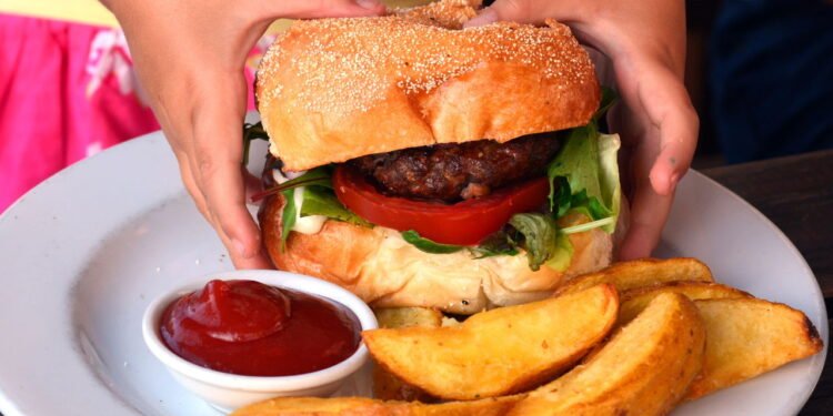 Estudo alerta que junk food pode estar destruindo sua memória silenciosamente