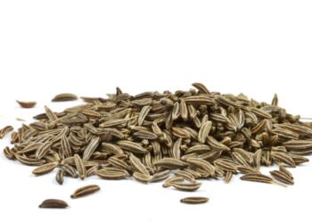 O tempero antigo que reduz o inchaço e pode aumentar a perda de peso