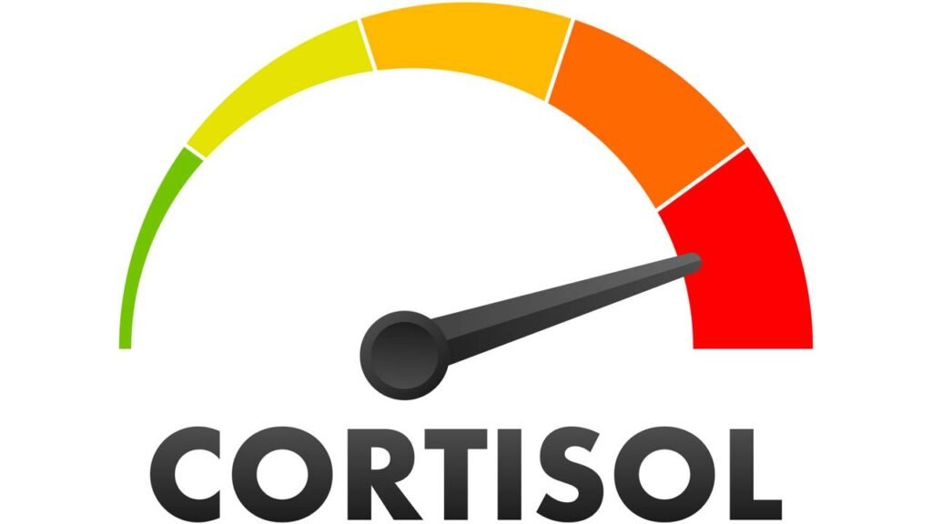 Como a música pode reduzir níveis de cortisol e estresse?