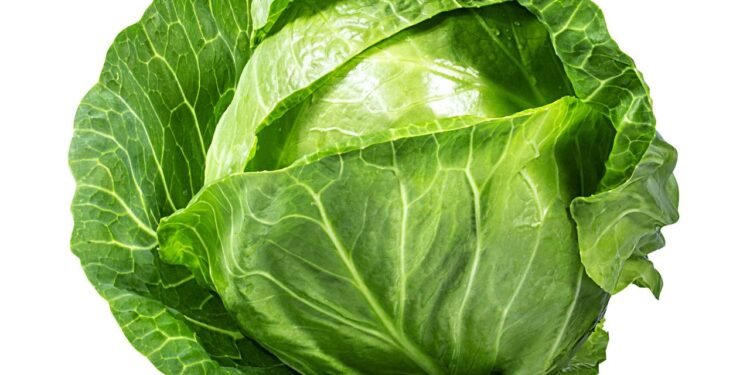 Couve - Créditos: depositphotos.com / ilietus1000.gmail.com