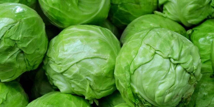 Couve - Créditos: depositphotos.com / mariakarabella