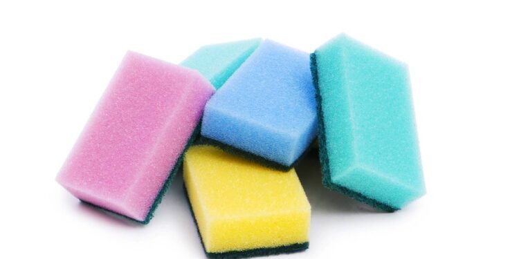 Diga adeus às esponjas de cozinha: a alternativa sustentável que está tomando conta da Europa.