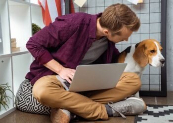 Você precisa conversar com seus pets