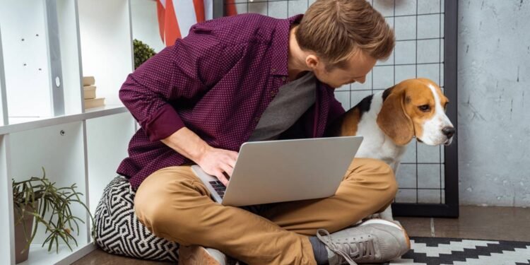 Você precisa conversar com seus pets