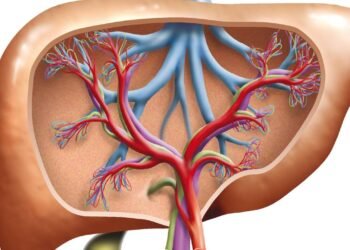 Como reverter o fígado gorduroso em apenas 90 dias com pequenas mudanças diárias que podem fazer uma grande diferença