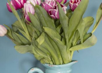 Seis regras definitivas para fazer as flores durarem mais