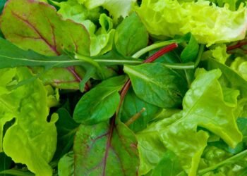 Coisas que os nutricionistas SEMPRE compram — adicione-as à sua lista de compras