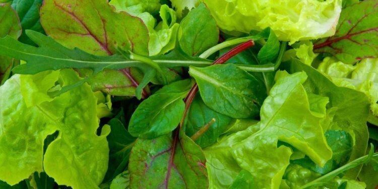 Coisas que os nutricionistas SEMPRE compram — adicione-as à sua lista de compras