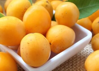 Essa fruta brasileira vai melhorar sua digestão