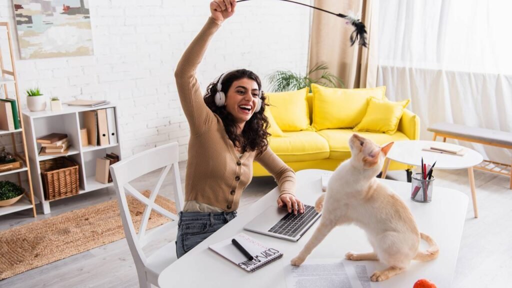 10 sinais surpreendentes que seu gato está realmente feliz