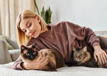 Dormir com cães e gatos faz mal a saúde? Medicina explica