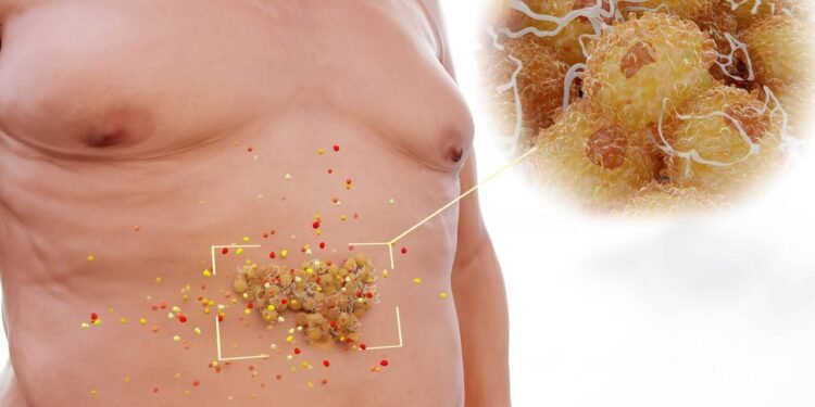 Cinco estratégias para eliminar a gordura visceral, segundo a ciência