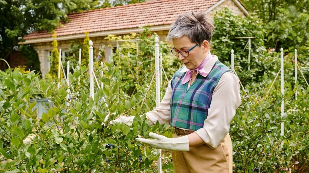O hobby ao ar livre que reduz o risco de Alzheimer