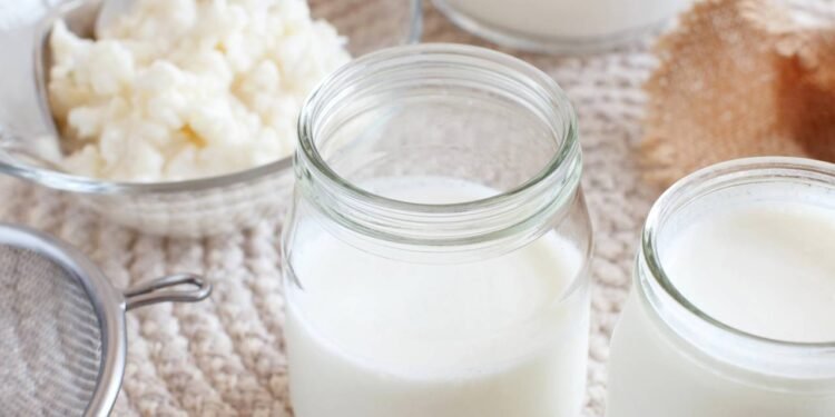 O alimento milenar que ajuda a restaurar a flora intestinal