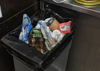 Onde na cozinha o lixo deve ser colocado para não estragar sua cozinha