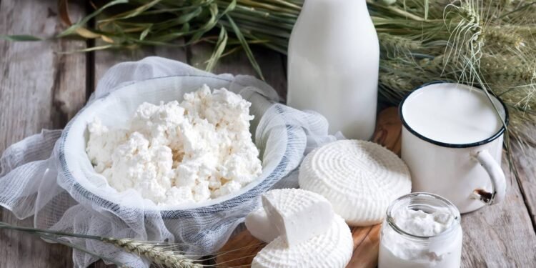 5 mitos sobre laticínios que indignam especialistas