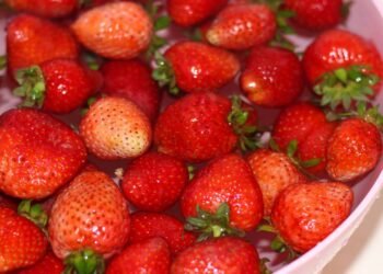 Qual é a maneira correta de remover a sujeira ao lavar morangos