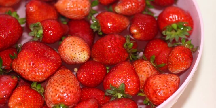 Qual é a maneira correta de remover a sujeira ao lavar morangos