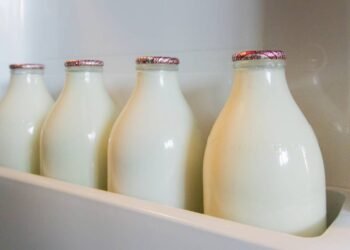 Leite na porta da geladeira? Descubra por que isso prejudica a qualidade