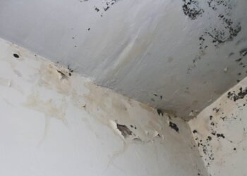 Como remover manchas de umidade do teto do banheiro com um truque caseiro