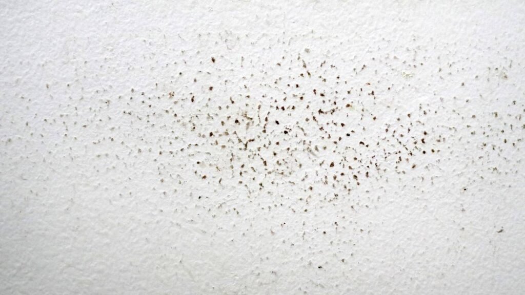 Como remover manchas de umidade do teto do banheiro com um truque caseiro