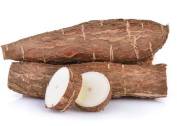 O superalimento brasileiro que turbina sua energia