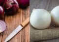 Poucos sabem qual é a diferença entre cebola branca e cebola roxa