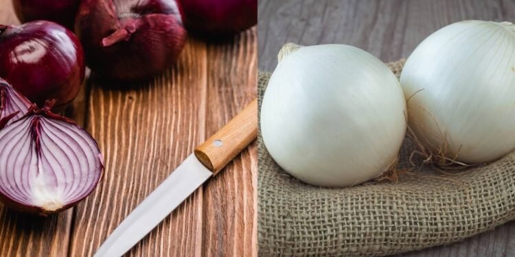 Poucos sabem qual é a diferença entre cebola branca e cebola roxa